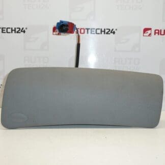 Beifahrerairbag Citroën C2 C3 96379999ZQ 8216Q1