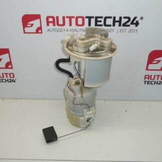 Kraftstoffpumpe Citroën Peugeot 77020-0H010 1507A1