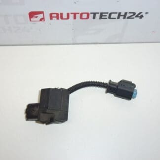 Sensor - Sensor 1.6 eHDI Citroën Peugeot 9689058080 9689057280