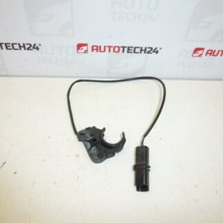 Türgriffsensor Peugeot 307 CC 9651269480 910946