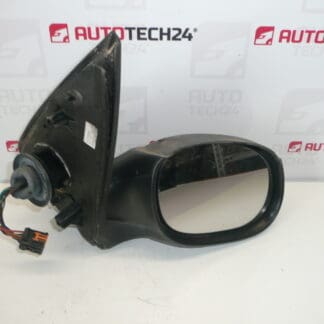 Rechter elektrischer Spiegel Peugeot 206 96480957XT 8149KN