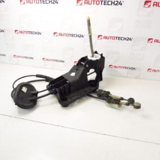 Peugeot 207 9685232980 2400JZ Schalthebel