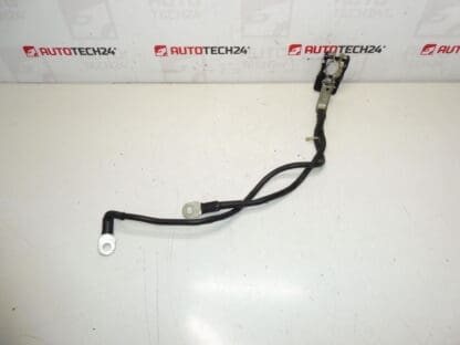 Ein positives Bündel für die Batterie Citroën Peugeot 1612229980