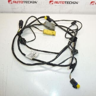 PDC-Kabelbaum vorne Peugeot 3008 9665290080 9677246380 6584Z4