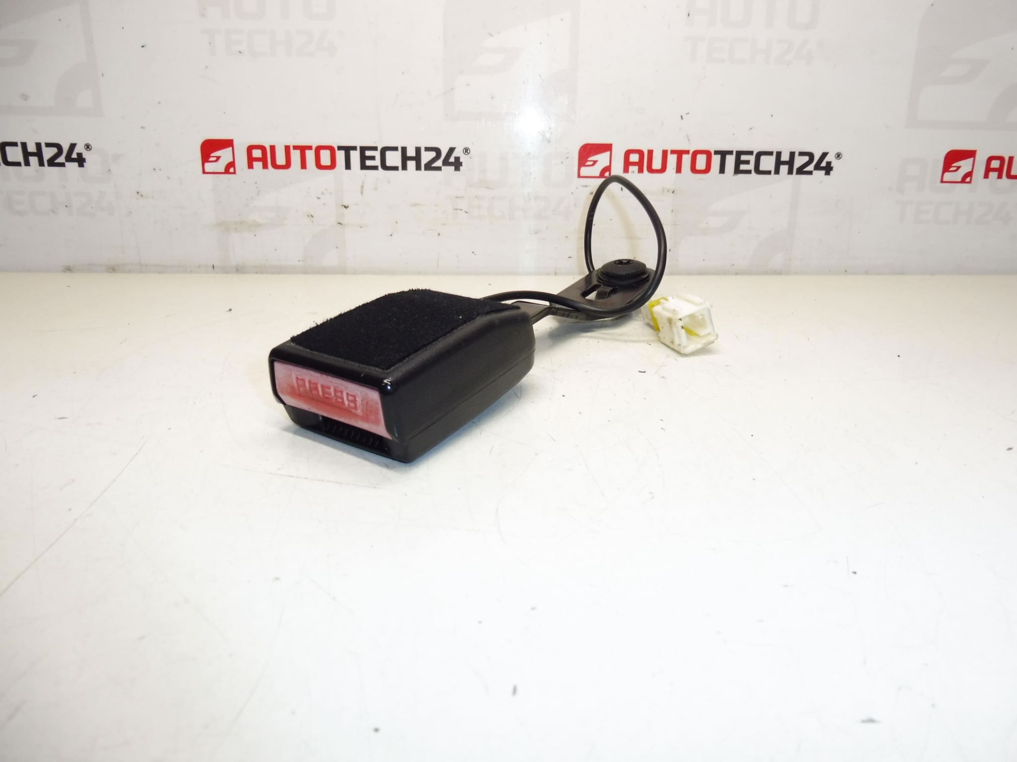 Peugeot 207 Reisepasshülle 8975S9